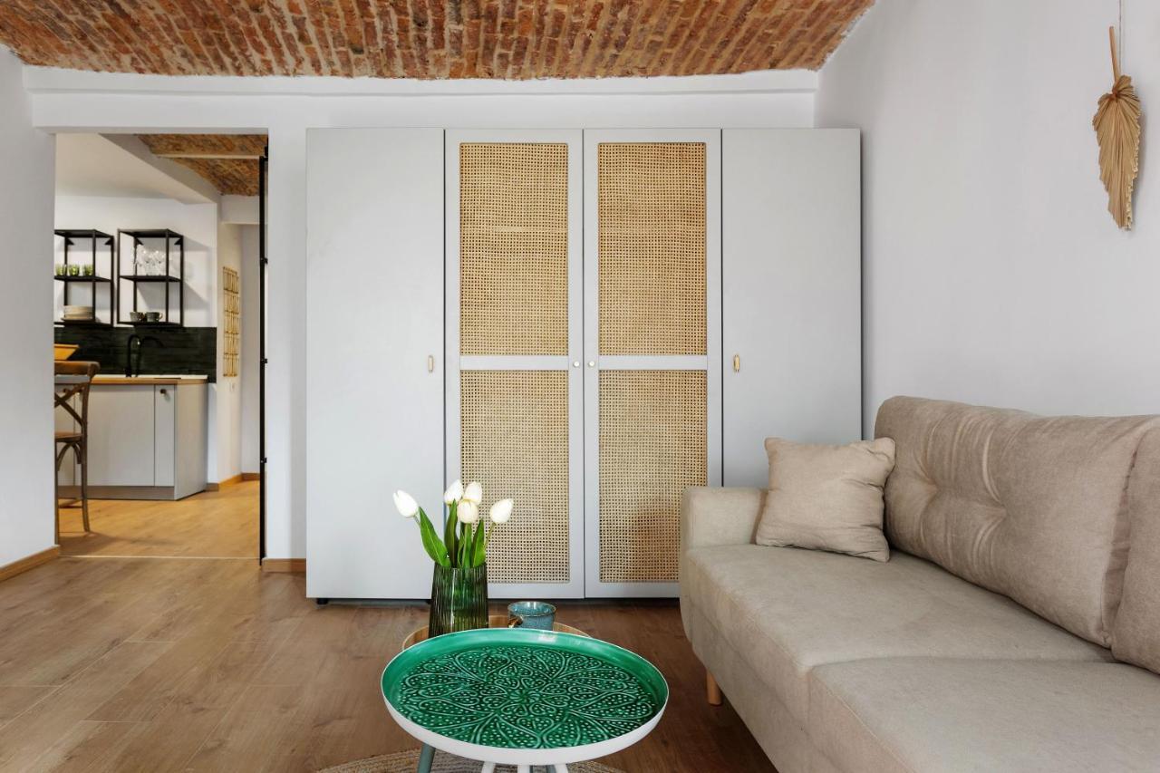 Roua Ludica Apartments Брашов Экстерьер фото