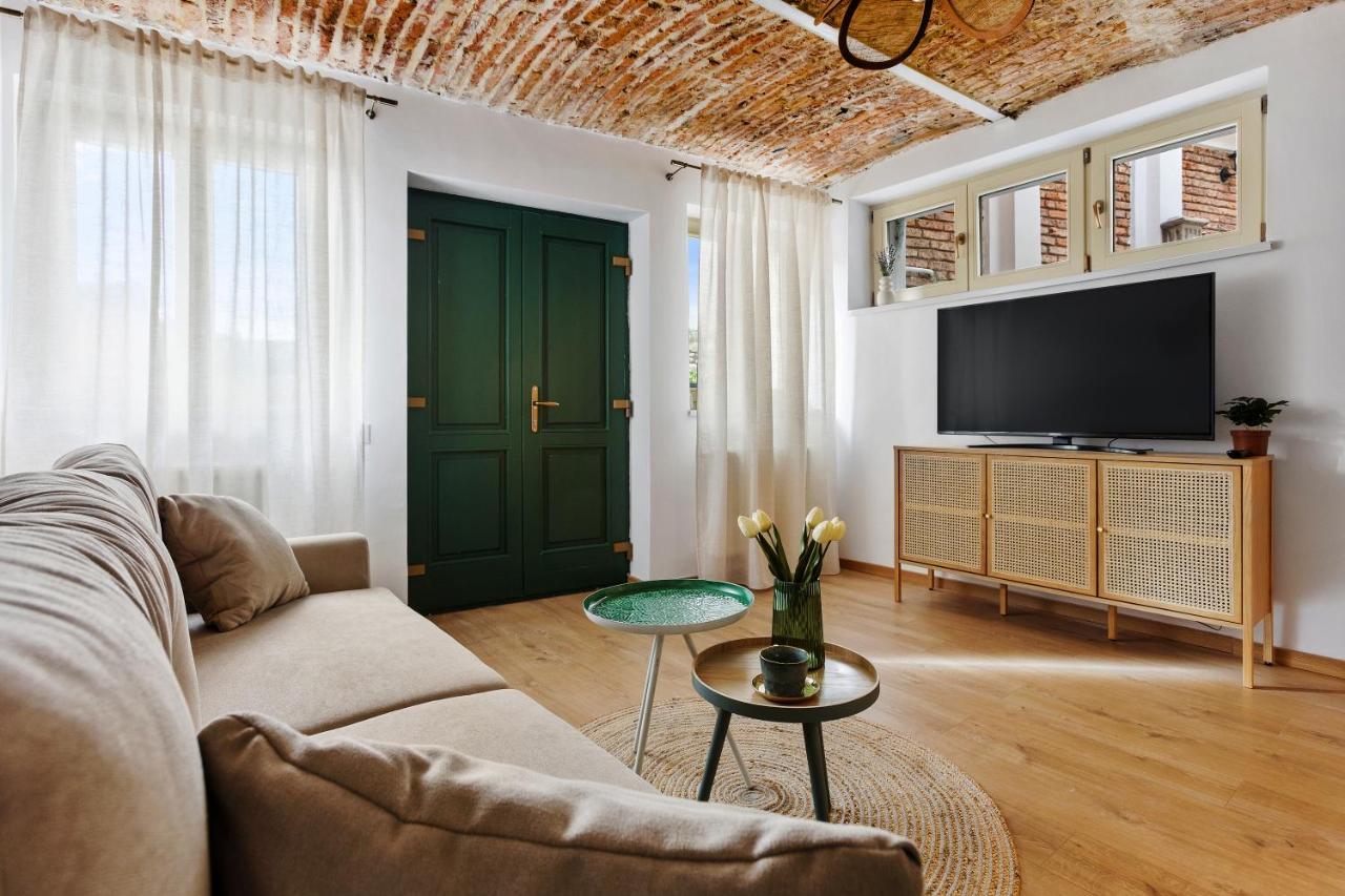 Roua Ludica Apartments Брашов Экстерьер фото